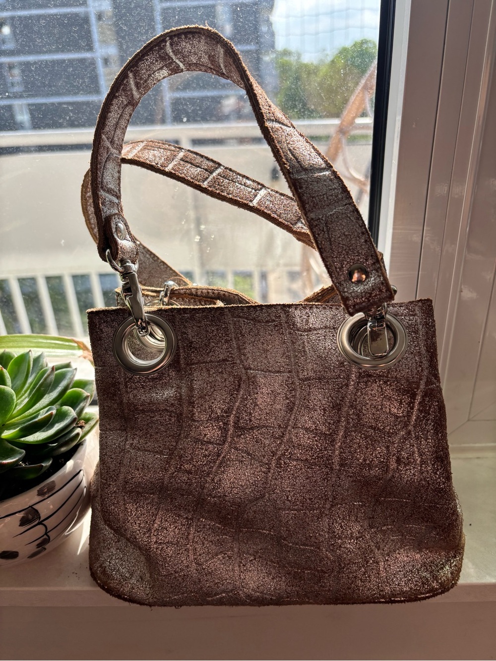 Vintage Metallic Brown Women's Mini Leather Purse